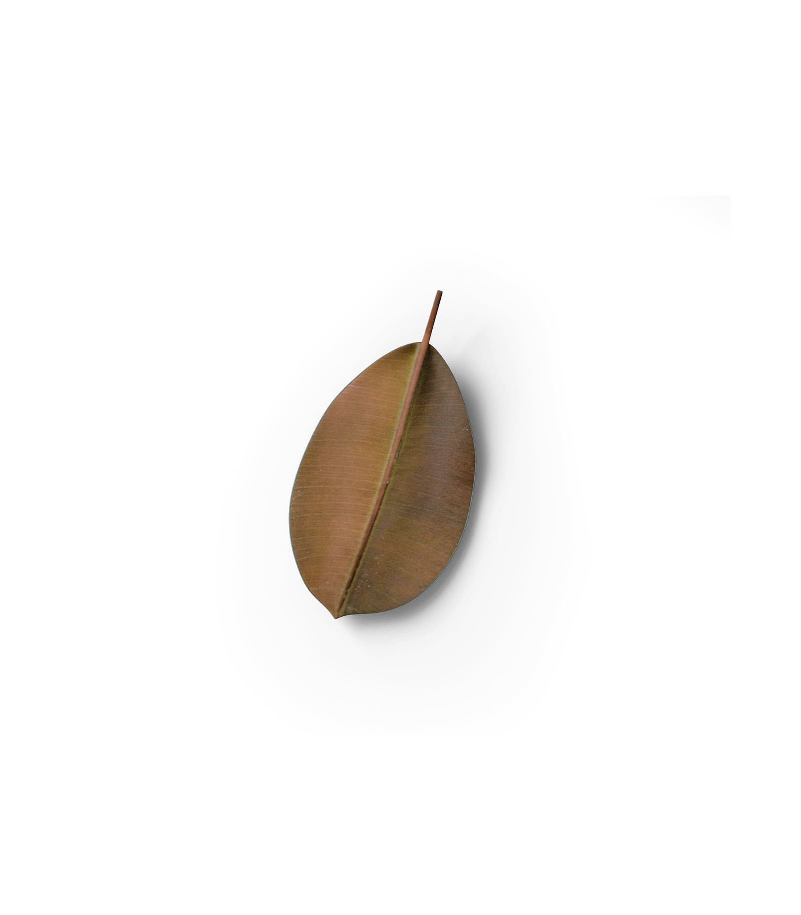 Mockup leaf top v13 Mockup Leaf Top V13