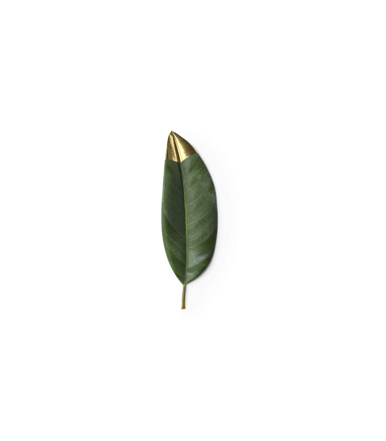 Mockup leaf with gold tip v1 top Mockup Leaf With Gold Tip V1 Top