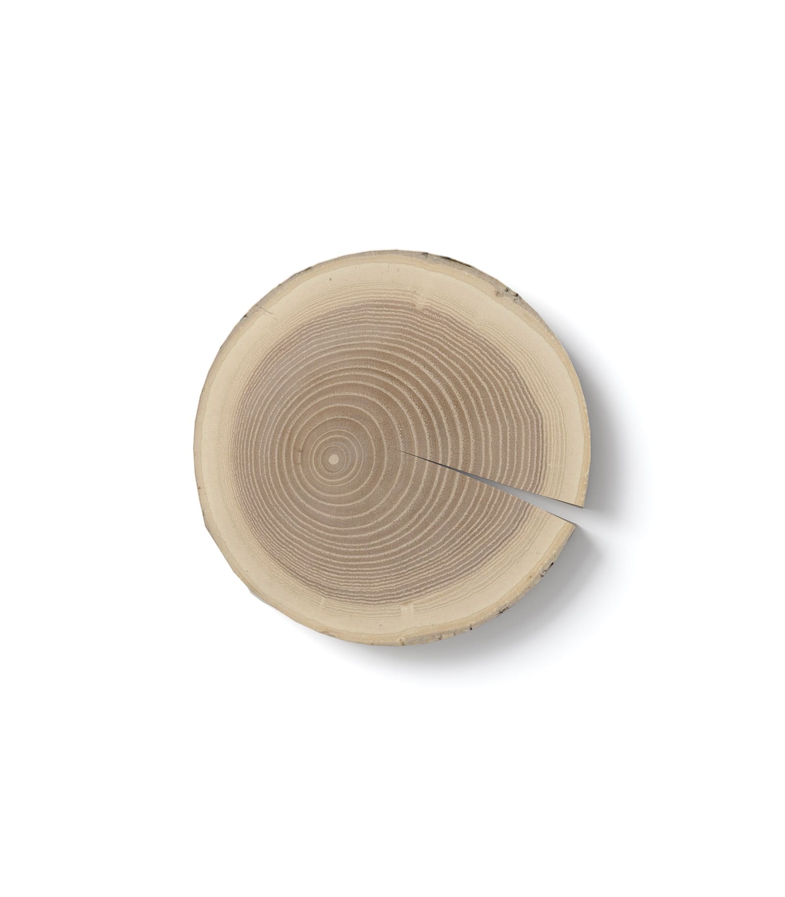 Mockup log top v1 Mockup Log Top V1