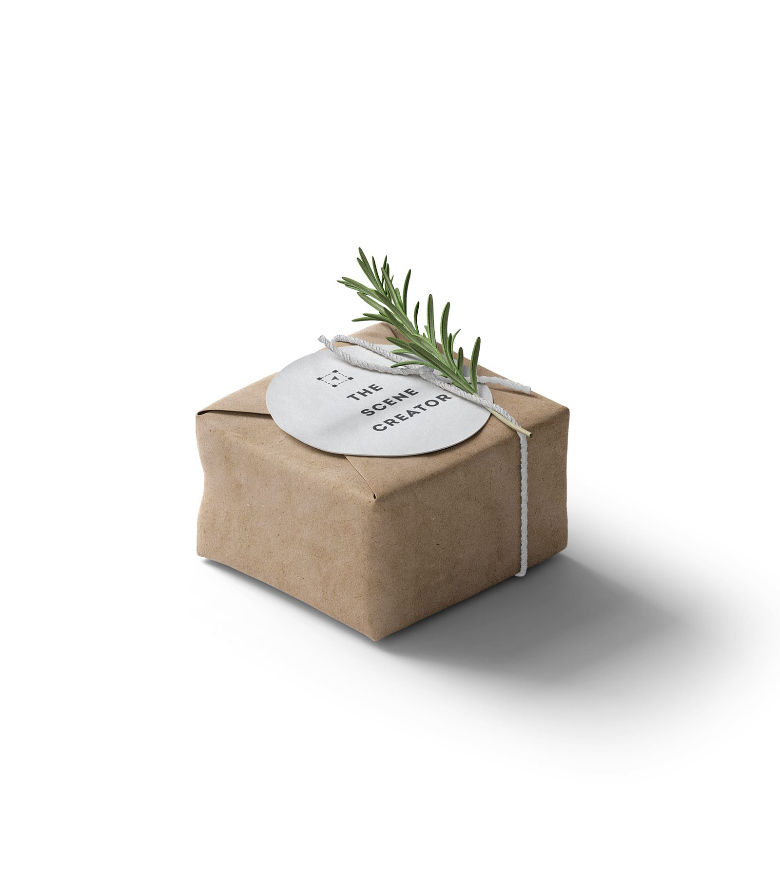 Mockup packaging with branch isometric Mockup Packaging With Branch Isometric