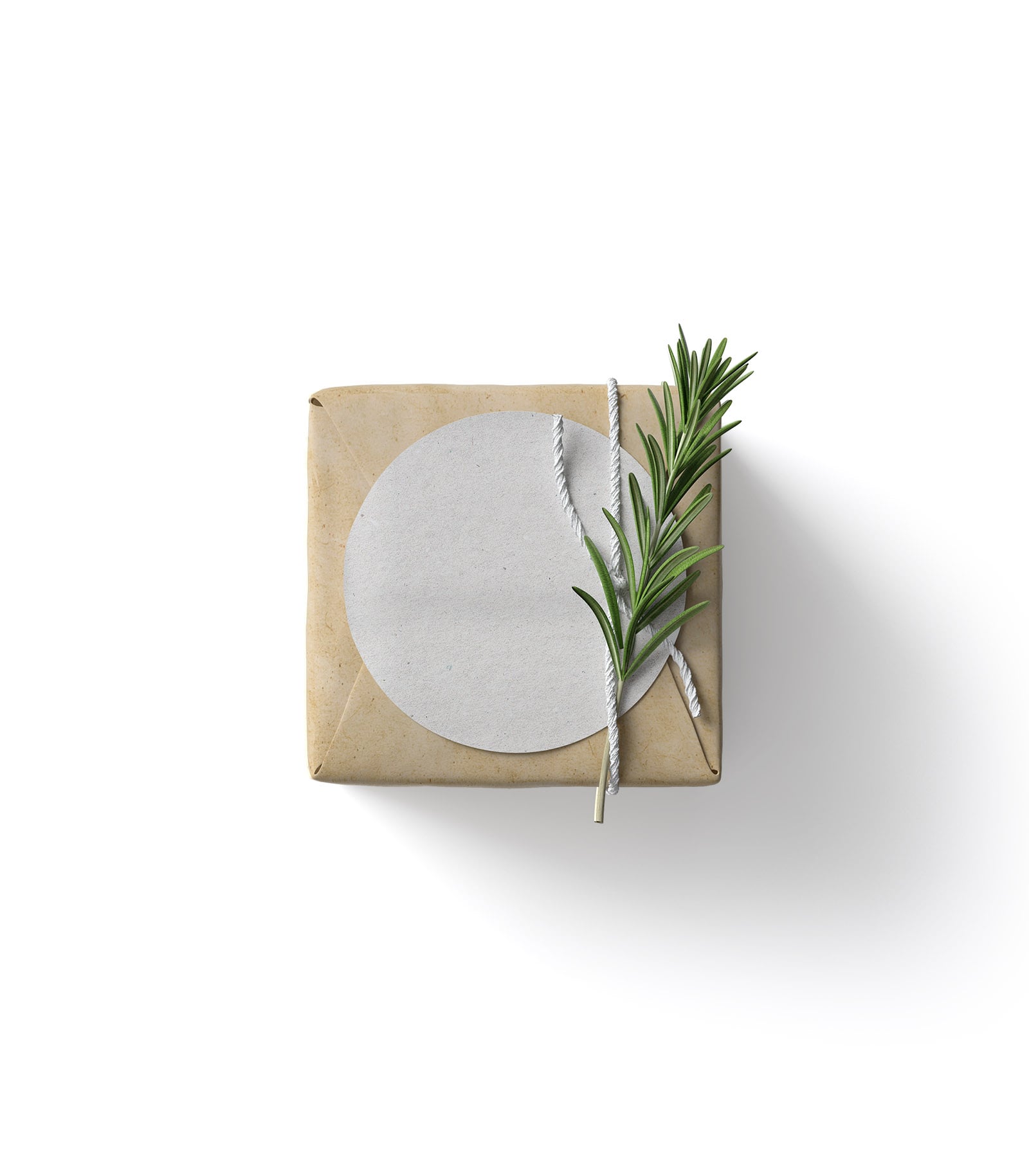 Mockup packaging with branch top Mockup Packaging With Branch Top