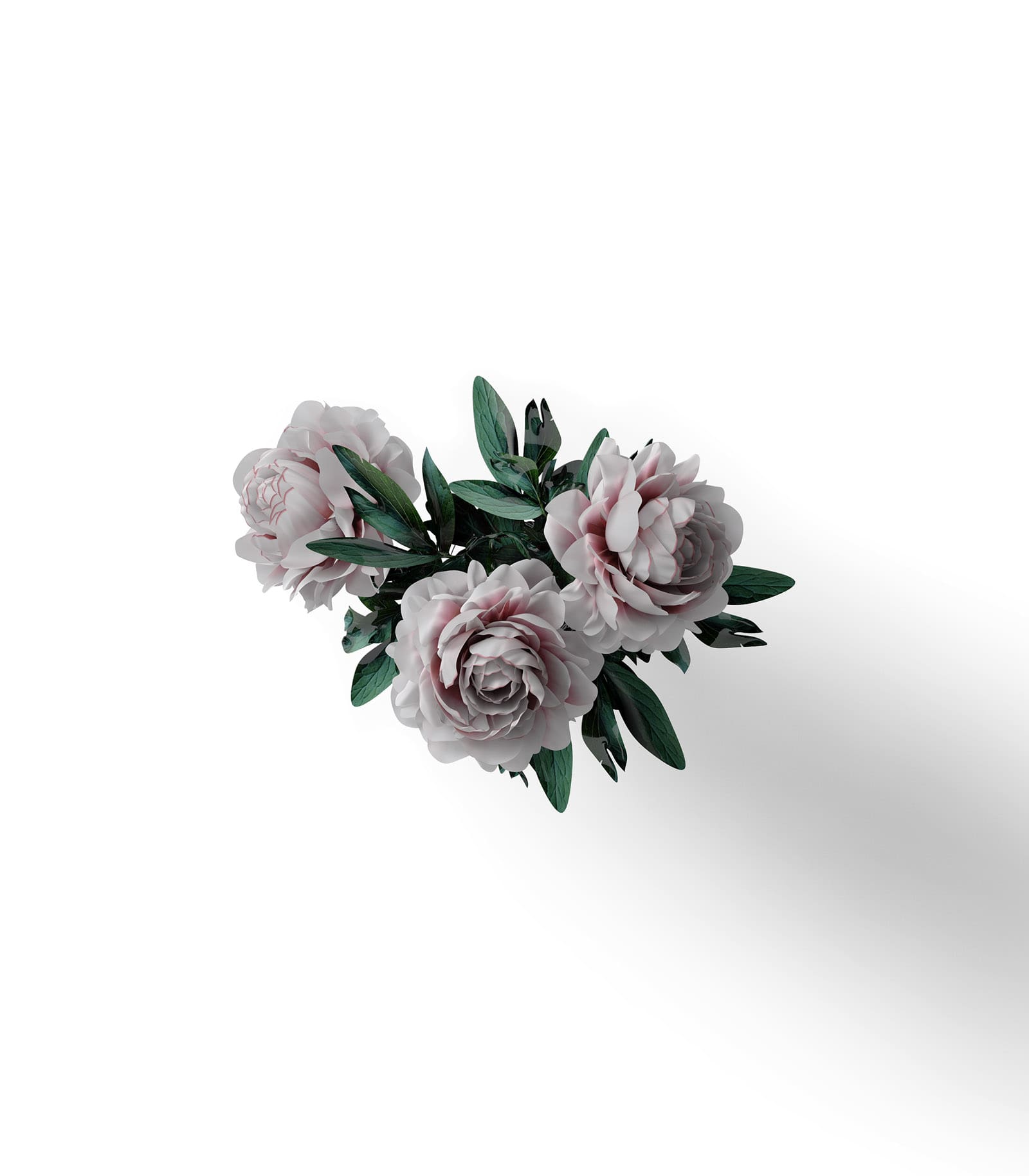Mockup peony top v3 Mockup Peony Top V3