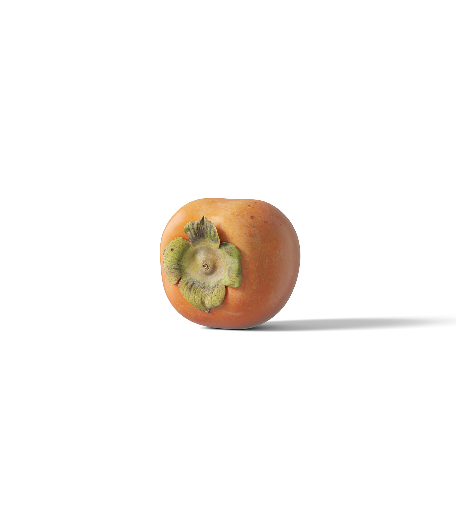 Mockup persimmon v1 front view Mockup Persimmon V1 Front View