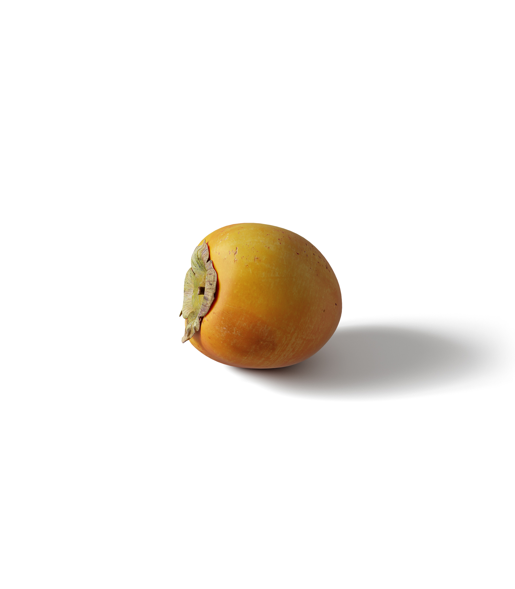 Mockup persimmon v3 isometric Mockup Persimmon V3 Isometric