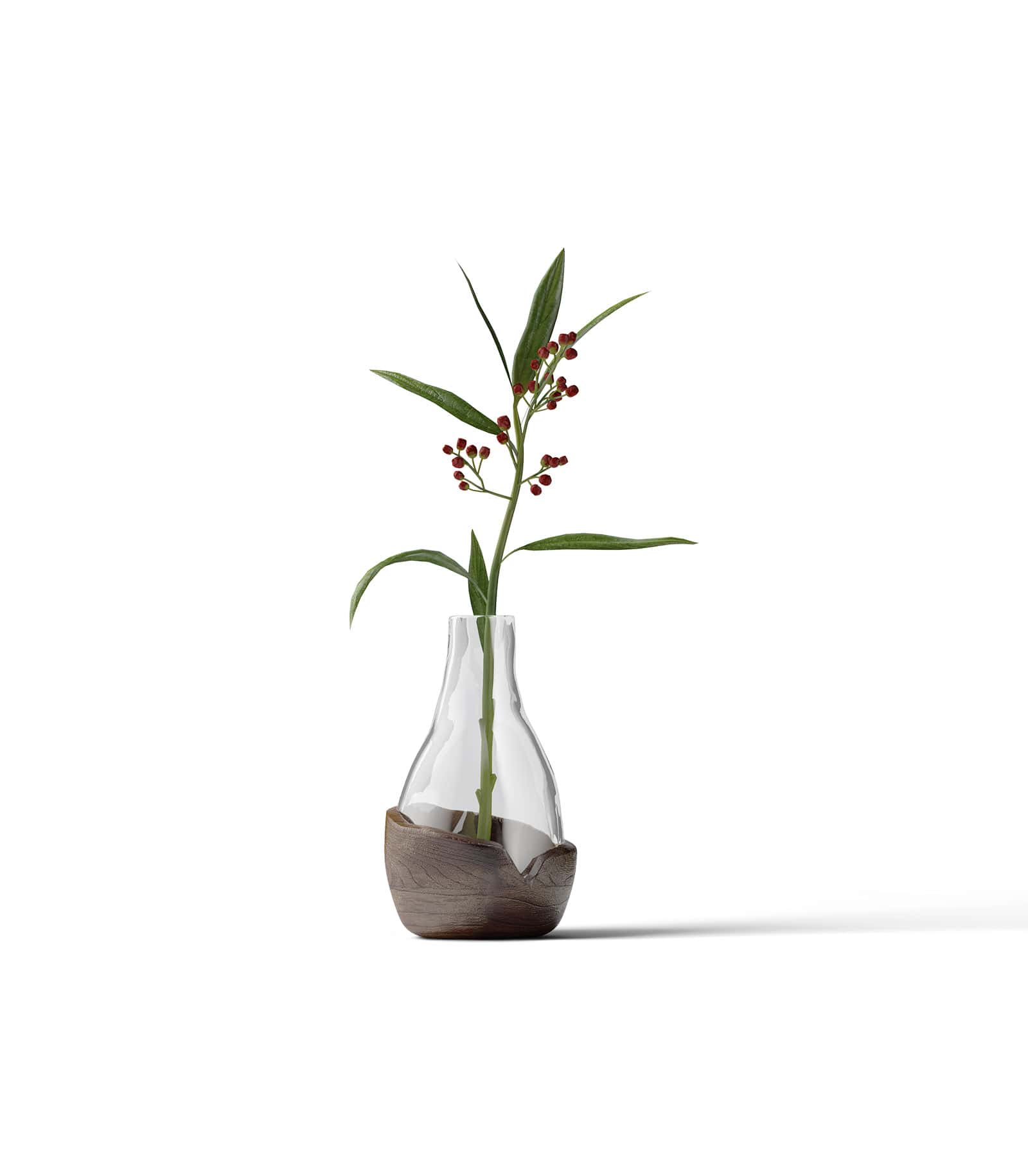 Mockup plant front v3 Mockup Plant Front V3