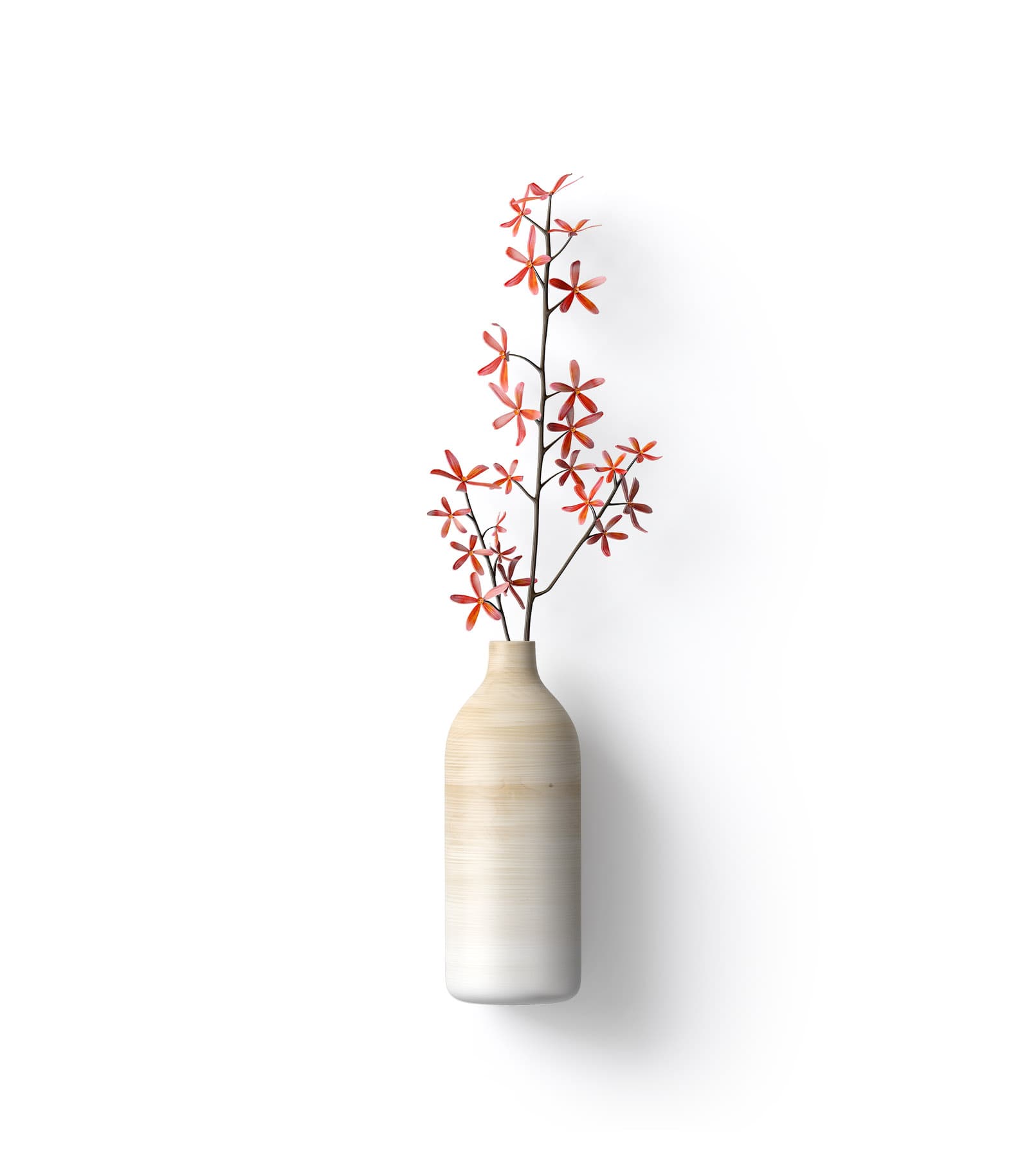 Mockup plant top v2 Mockup Plant Top V2