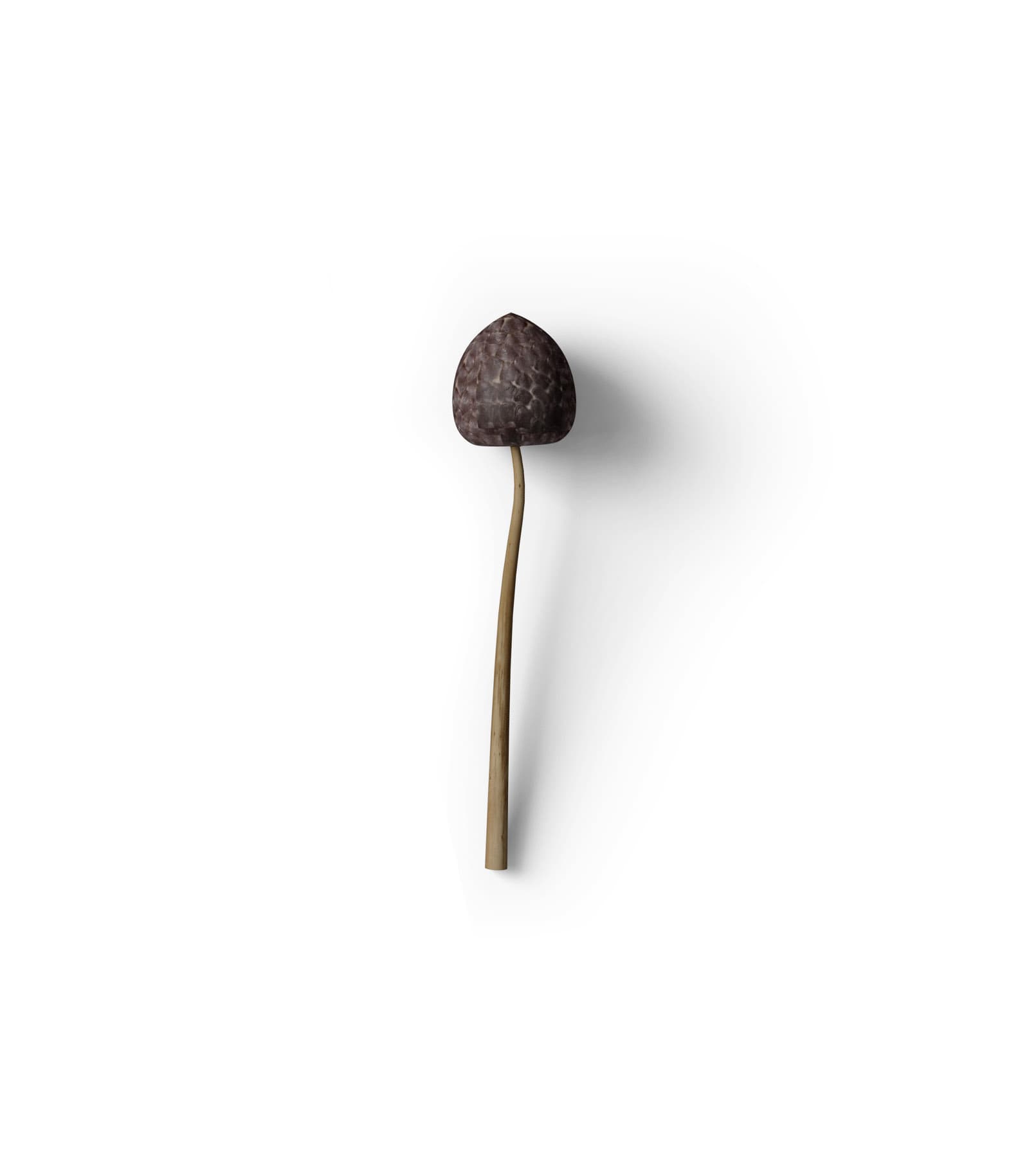 Mockup plant top v7 Mockup Plant Top V7