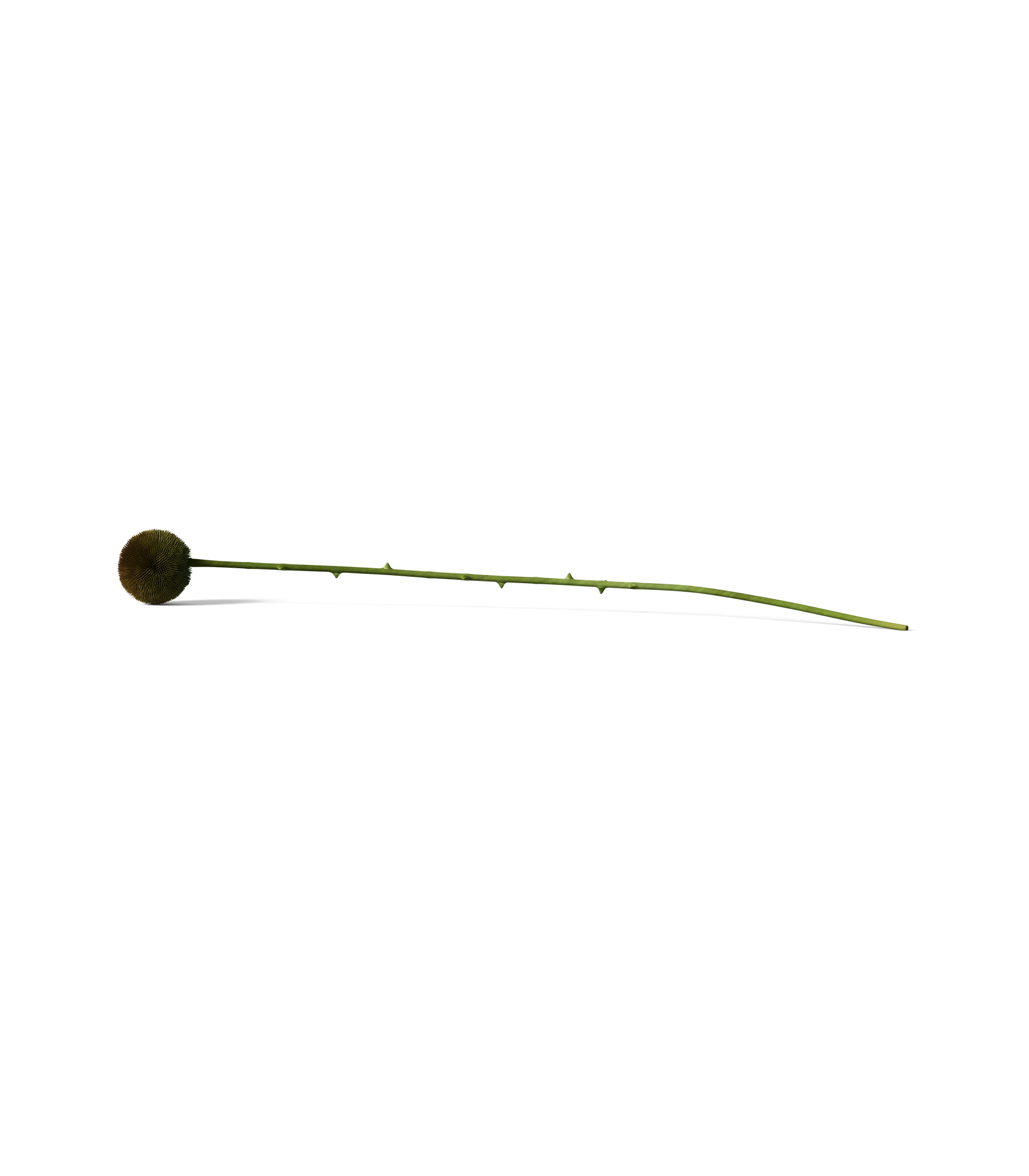 Mockup plant v1 front view Mockup Plant V1 Front View