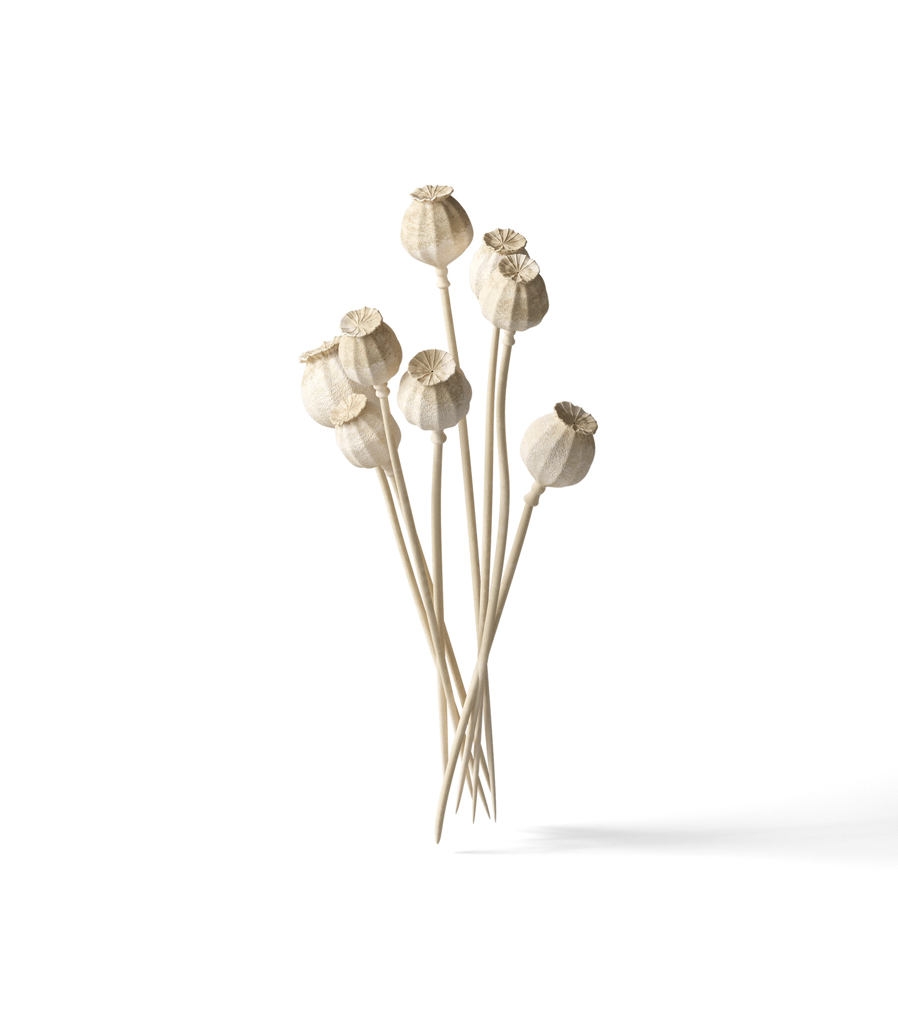 Mockup plant v18 isometric Mockup Plant V18 Isometric