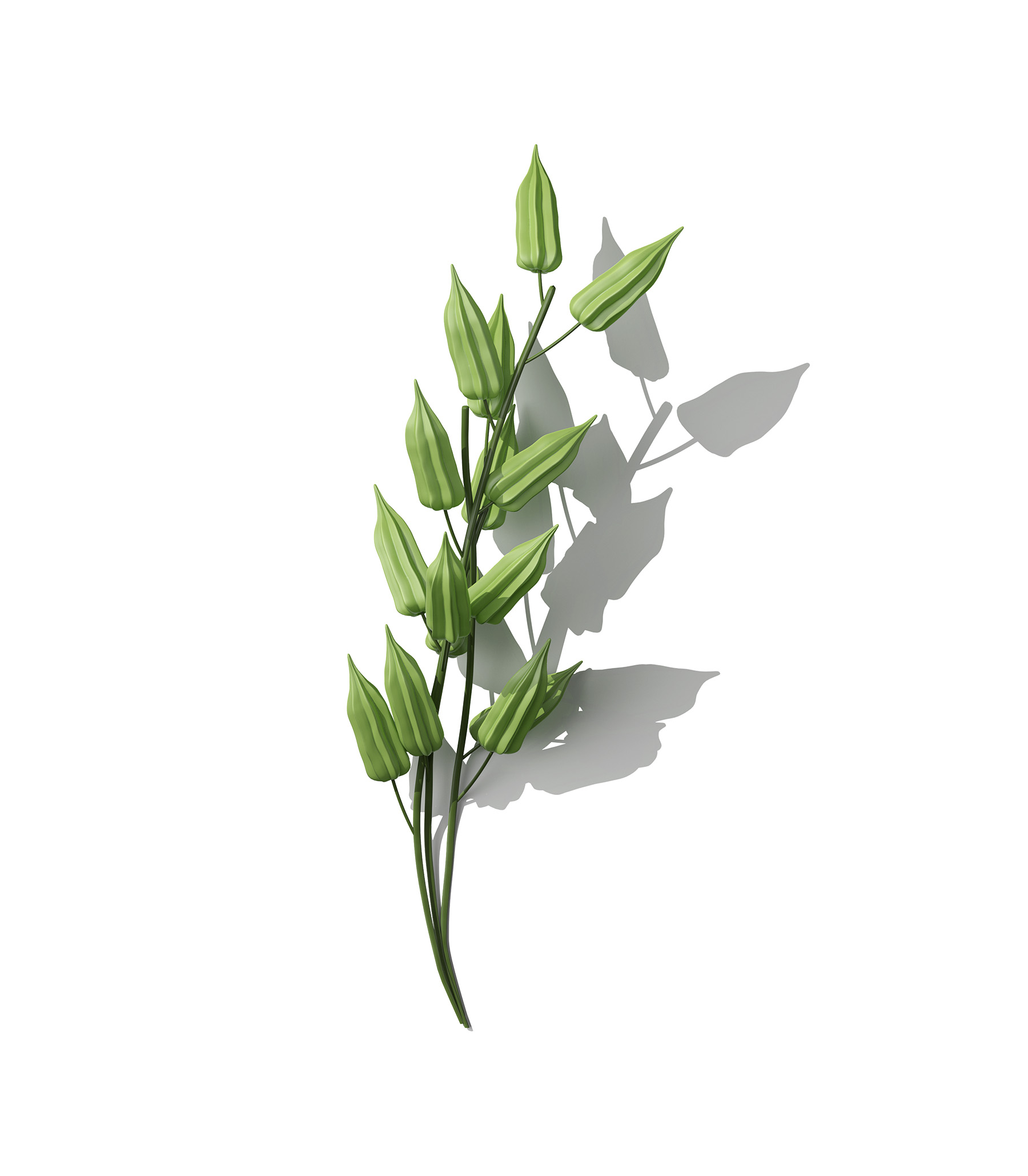 Mockup plant v2 front view Mockup Plant V2 Front View