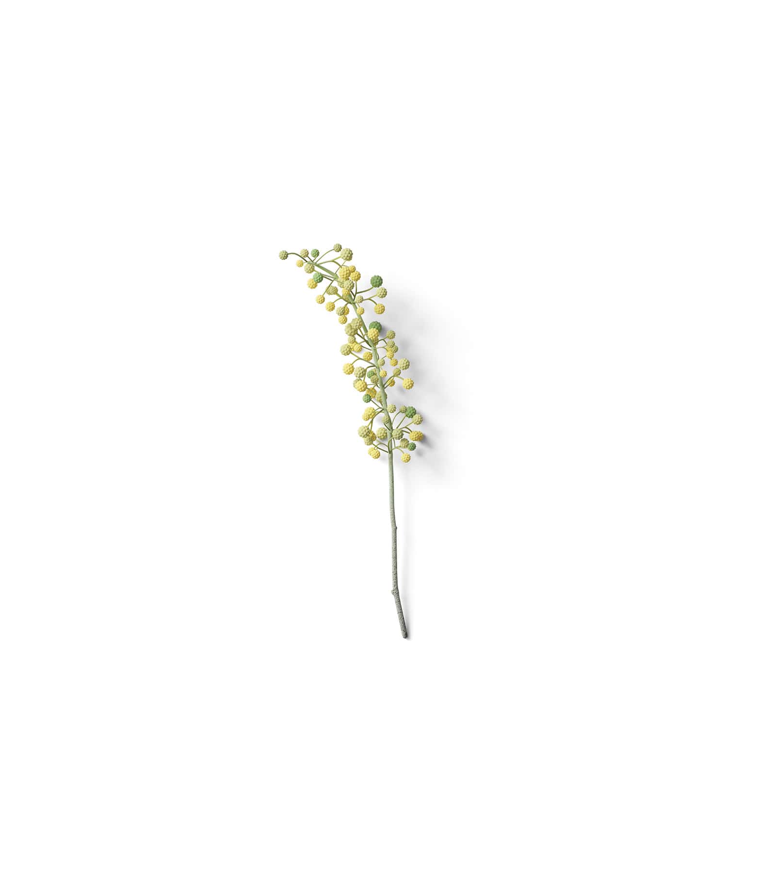 Mockup plant v2 top Mockup Plant V2 Top