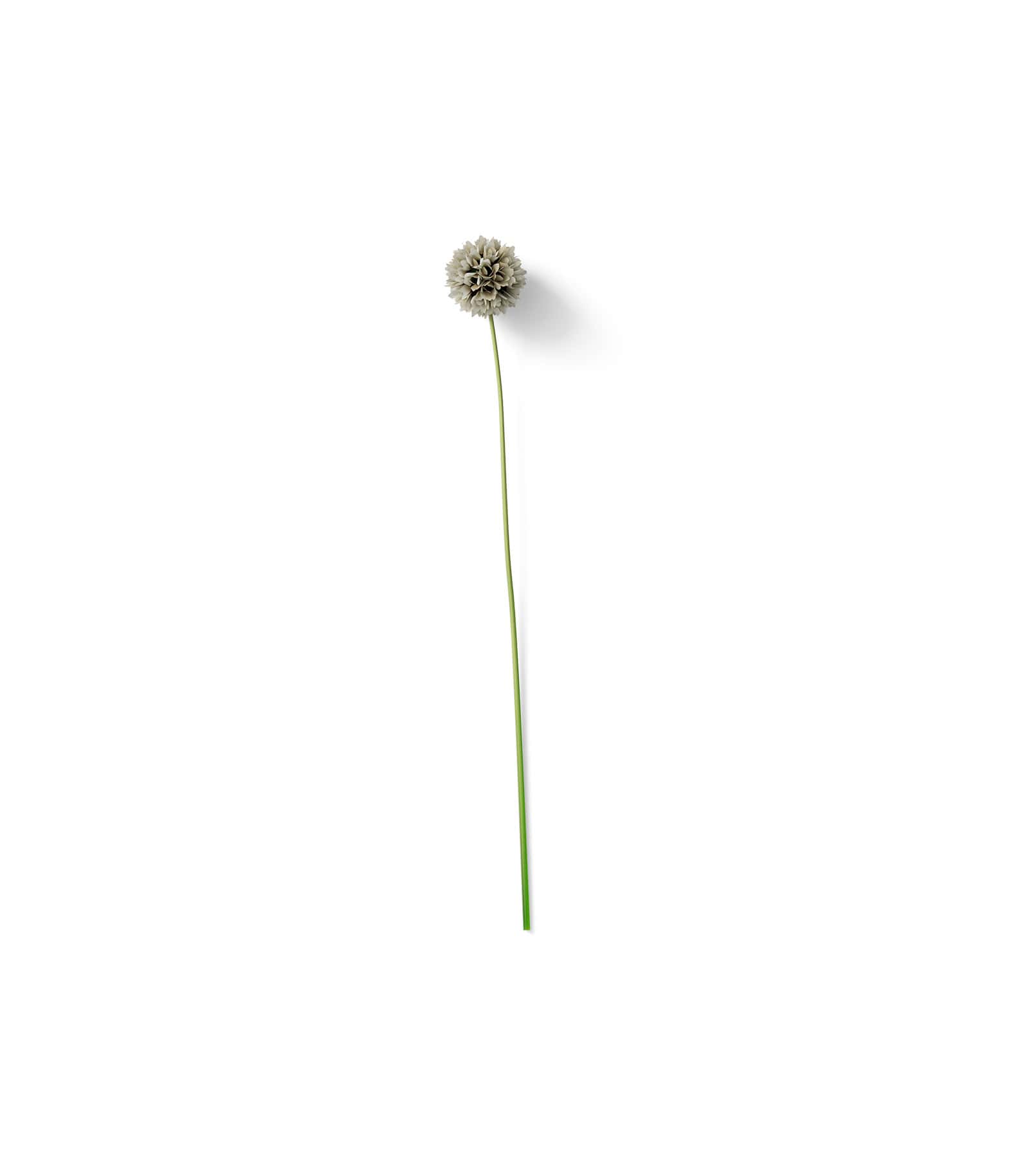 Mockup plant v6 top Mockup Plant V6 Top