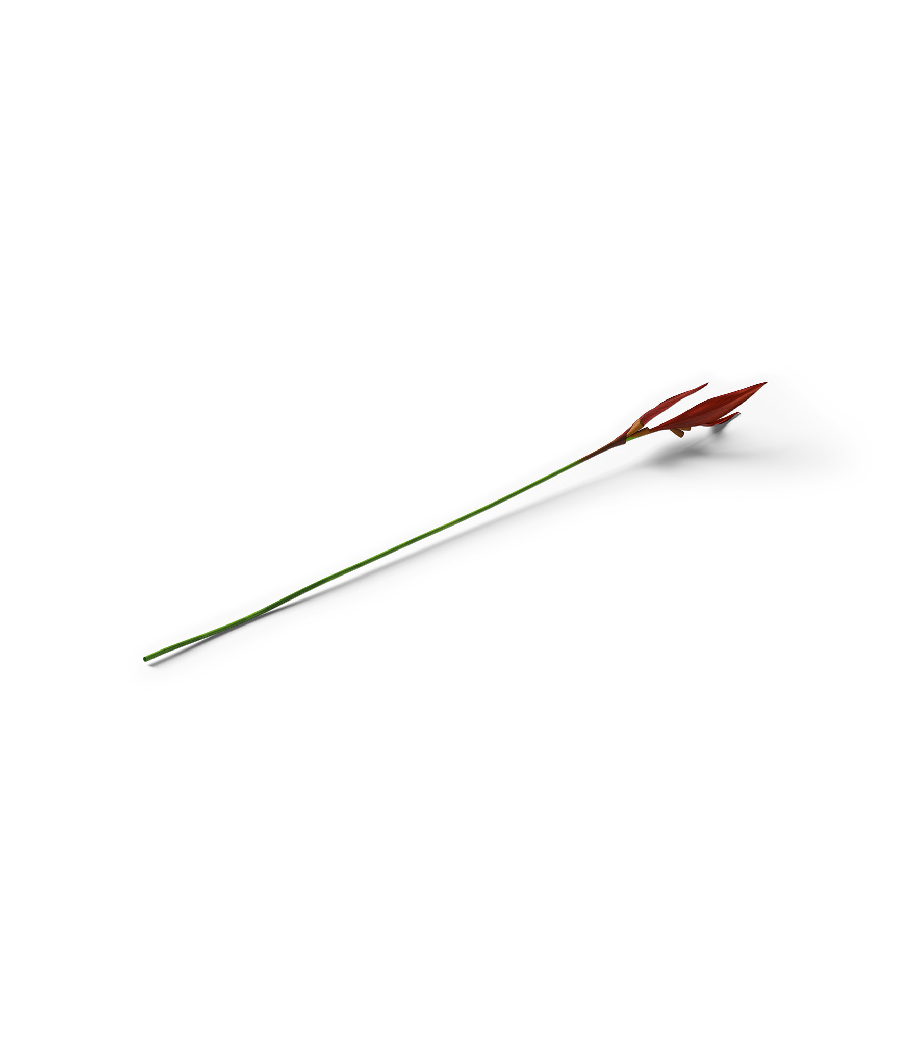 Mockup plant v7a isometric Mockup Plant V7A Isometric