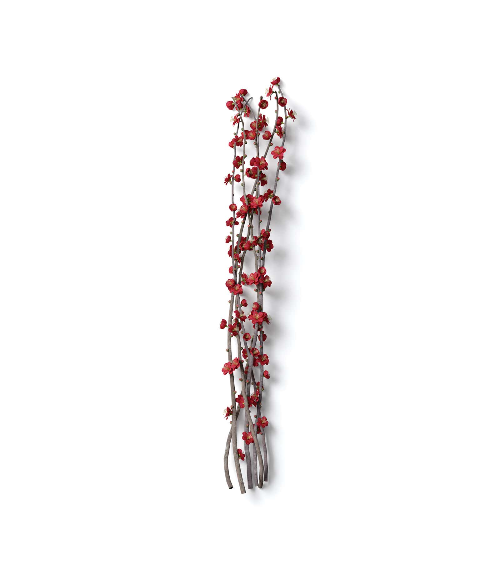Mockup red sakura top Mockup Red Sakura Top