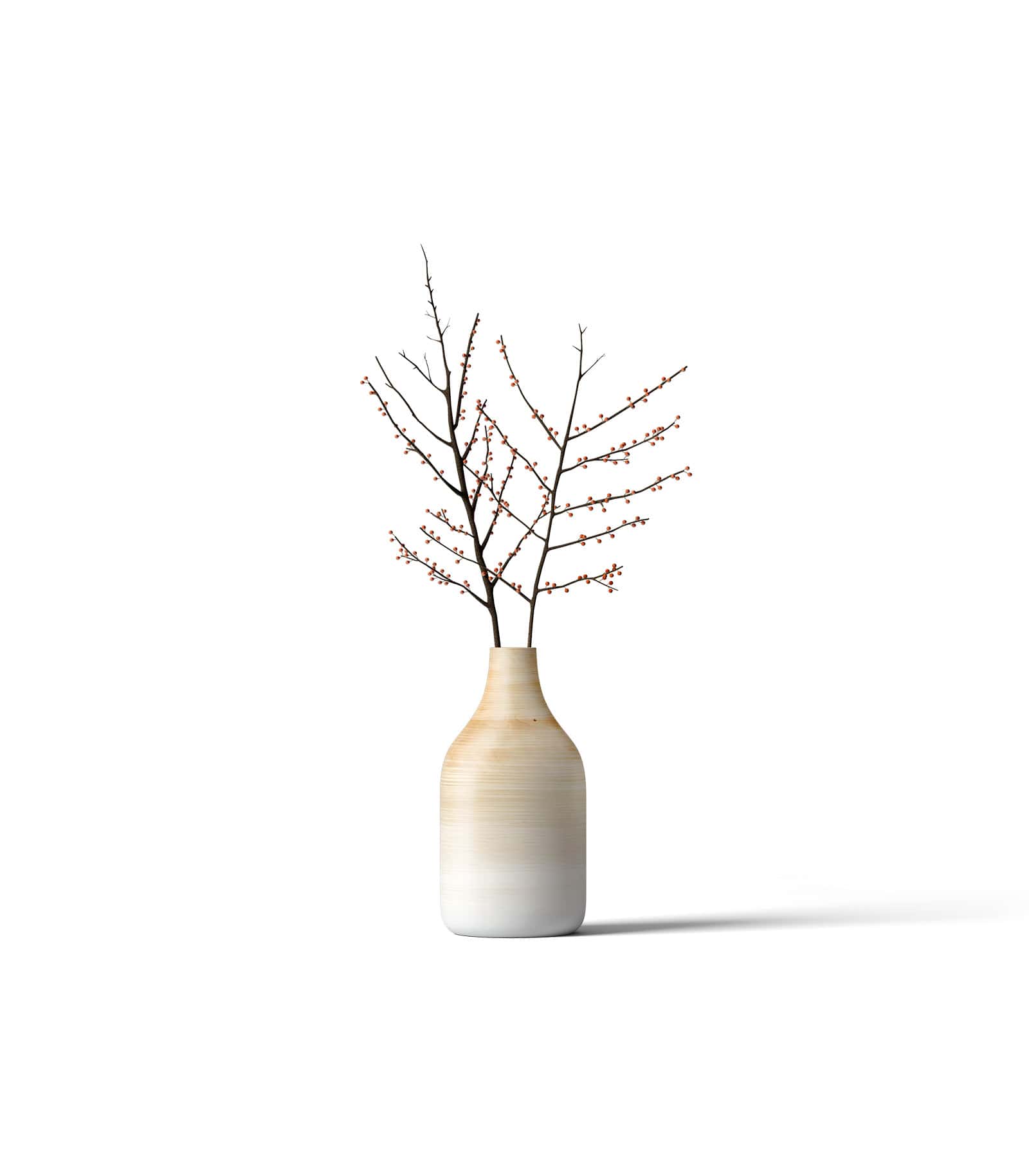 Mockup rowan in vase front Mockup Rowan In Vase Front