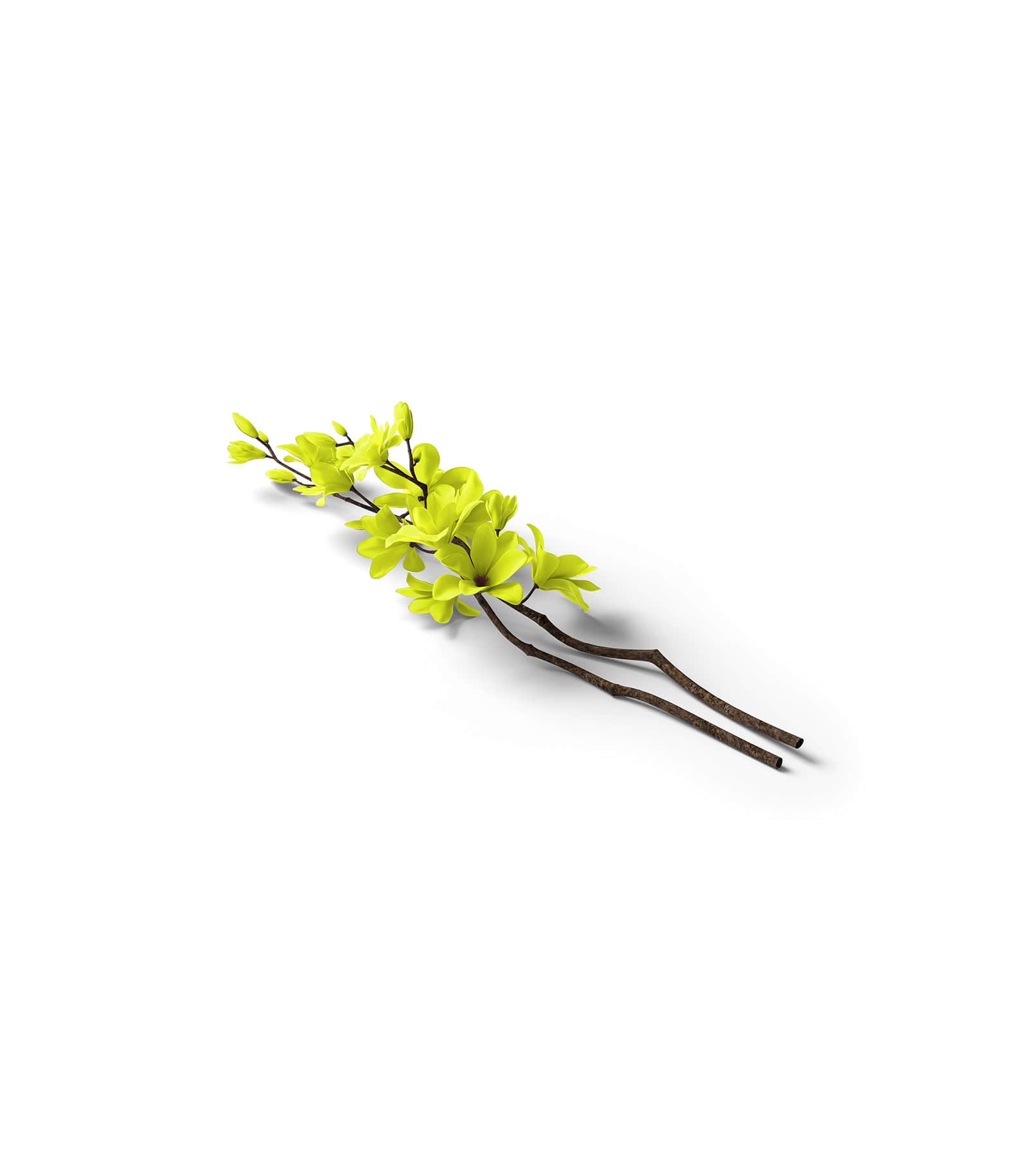 Mockup sakura isometric v1 Mockup Sakura Isometric V1