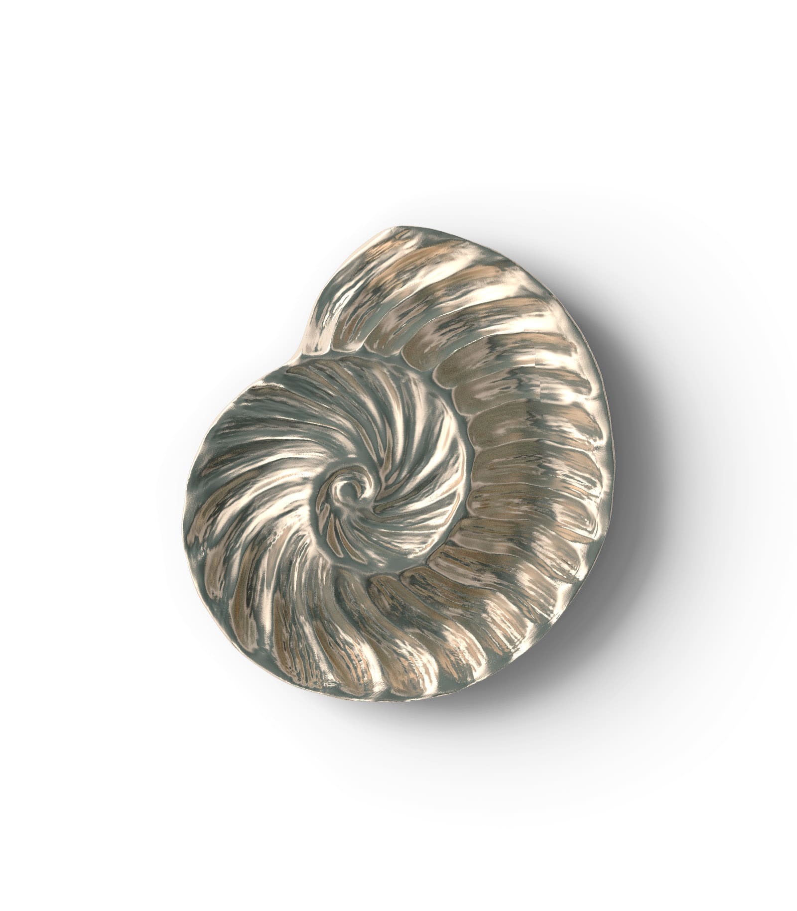 Mockup shell bowl top Mockup Shell Bowl Top