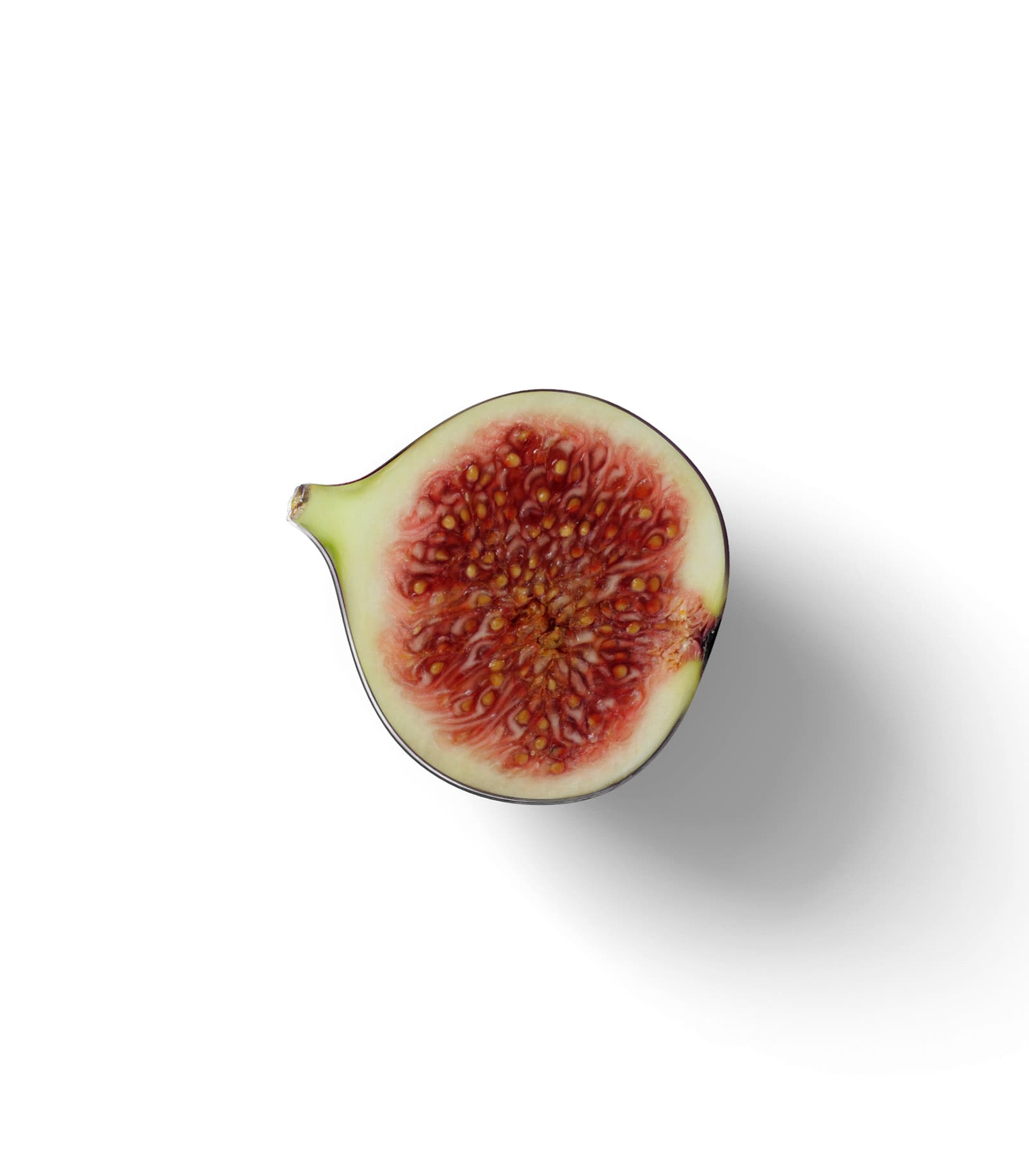 Mockup sliced figs v3 top Mockup Sliced Figs V3 Top