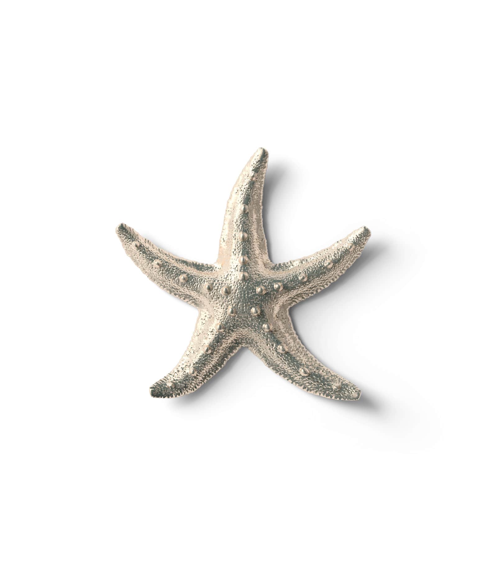 Mockup starfish top Mockup Starfish Top