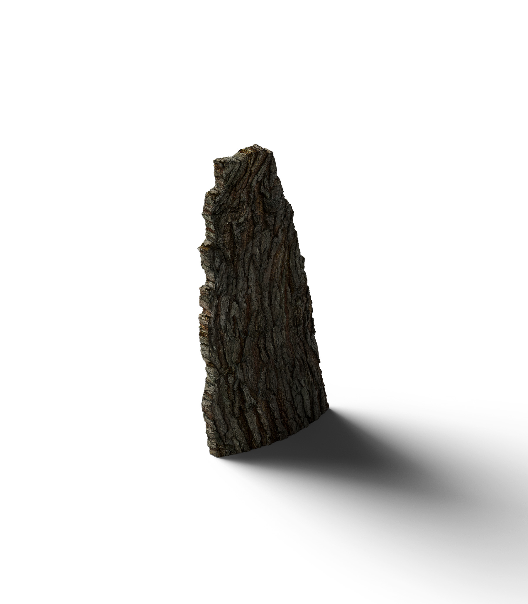 Mockup tree bark isometric Mockup Tree Bark Isometric
