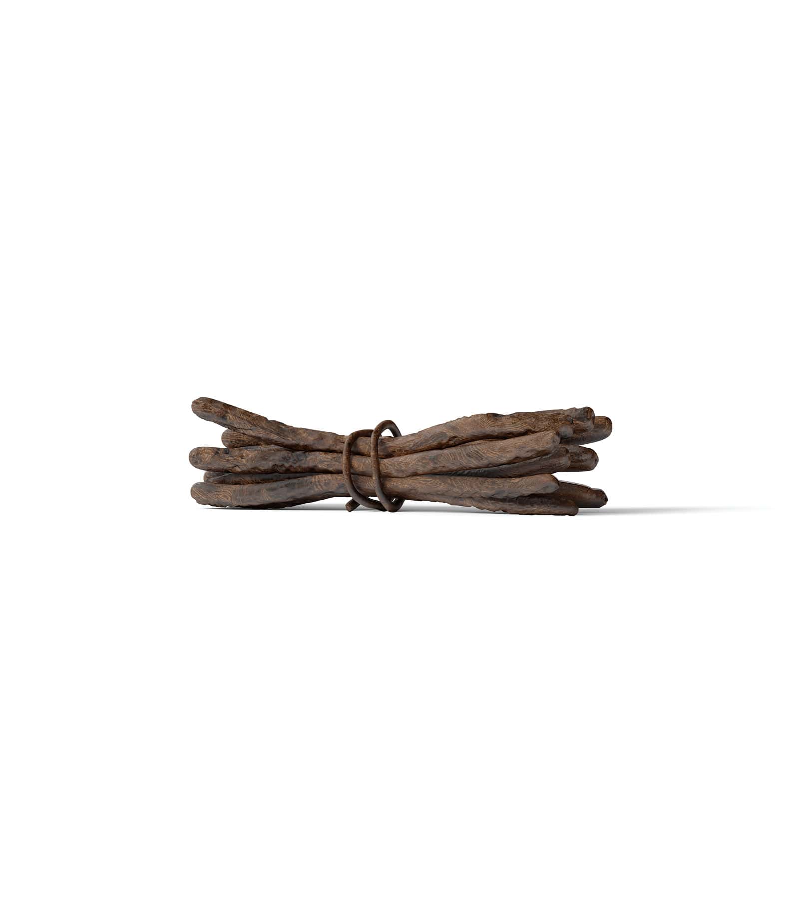 Mockup tree branches front Mockup Tree Branches Front