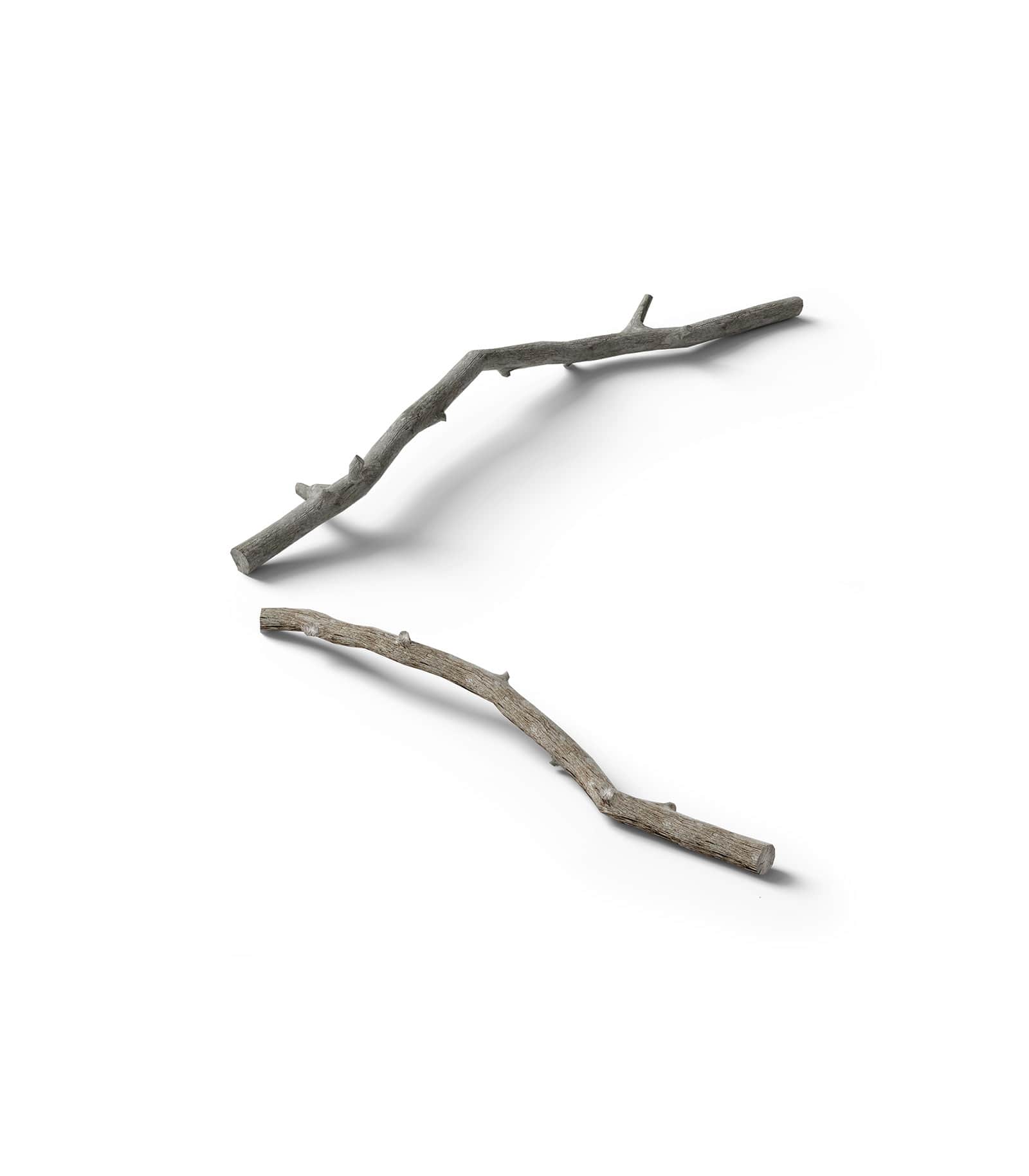 Mockup tree branches isometric v1 Mockup Tree Branches Isometric V1