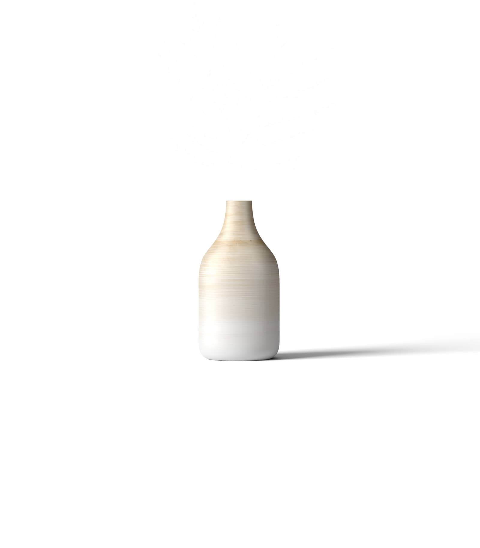 Mockup vase front v6 Mockup Vase Front V6