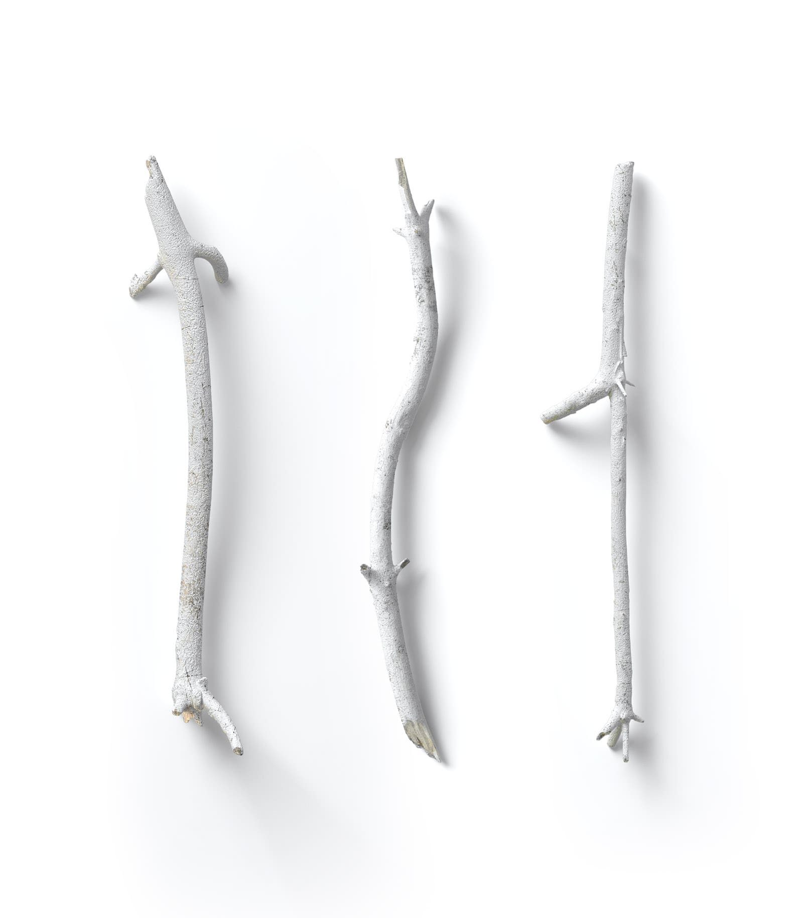 Mockup white dry branch v2 top Mockup White Dry Branch V2 Top