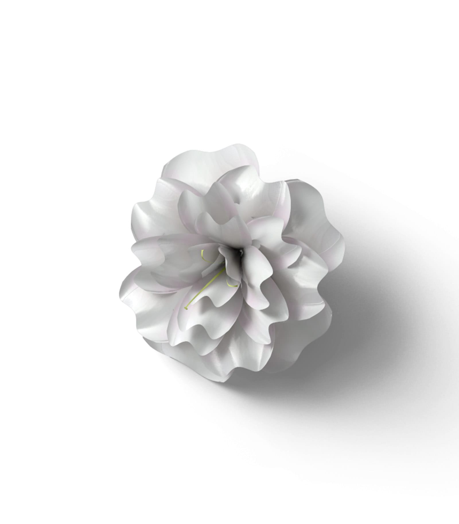 Mockup white flower v1 top Mockup White Flower V1 Top