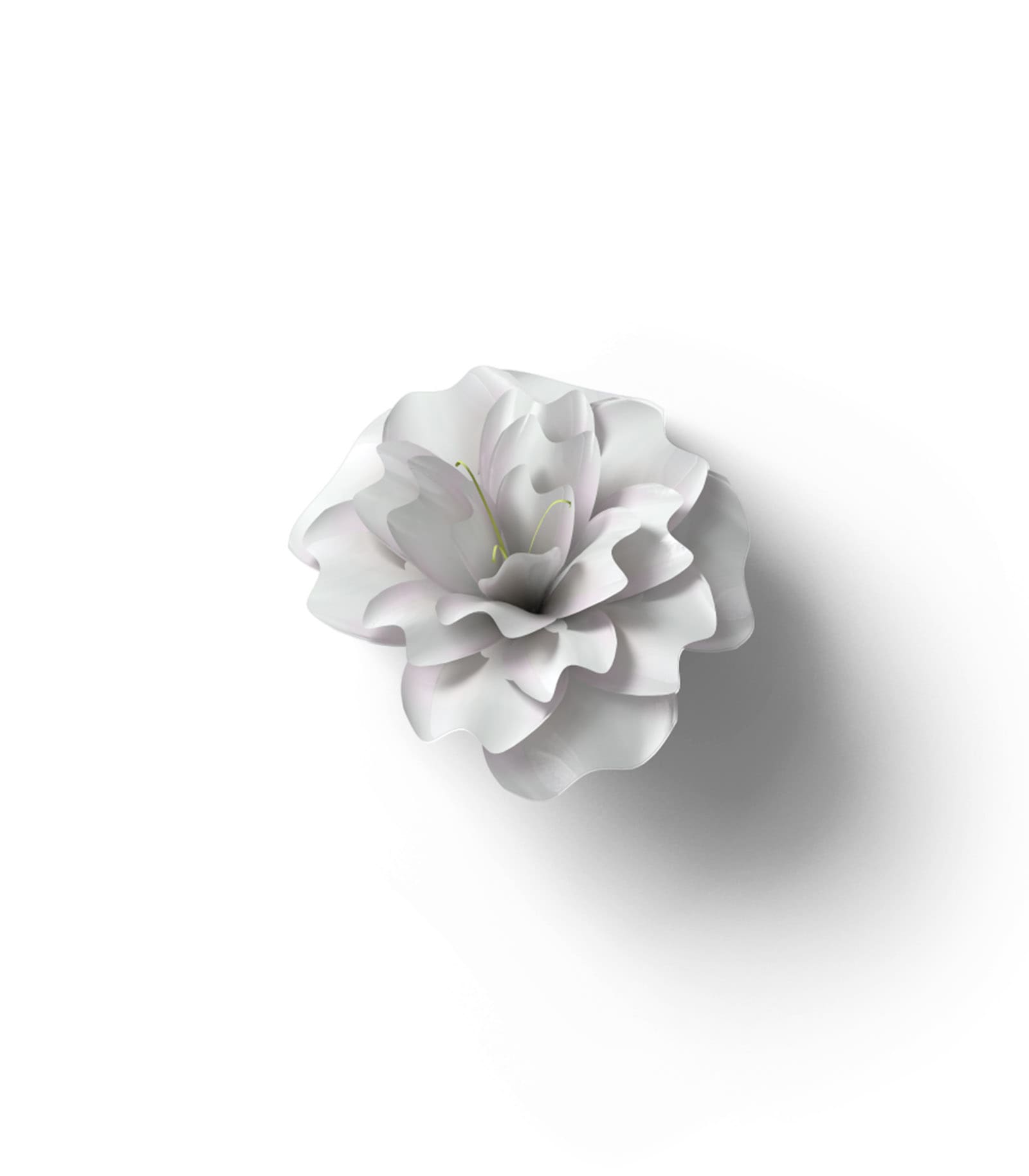 Mockup white flower v2 top Mockup White Flower V2 Top