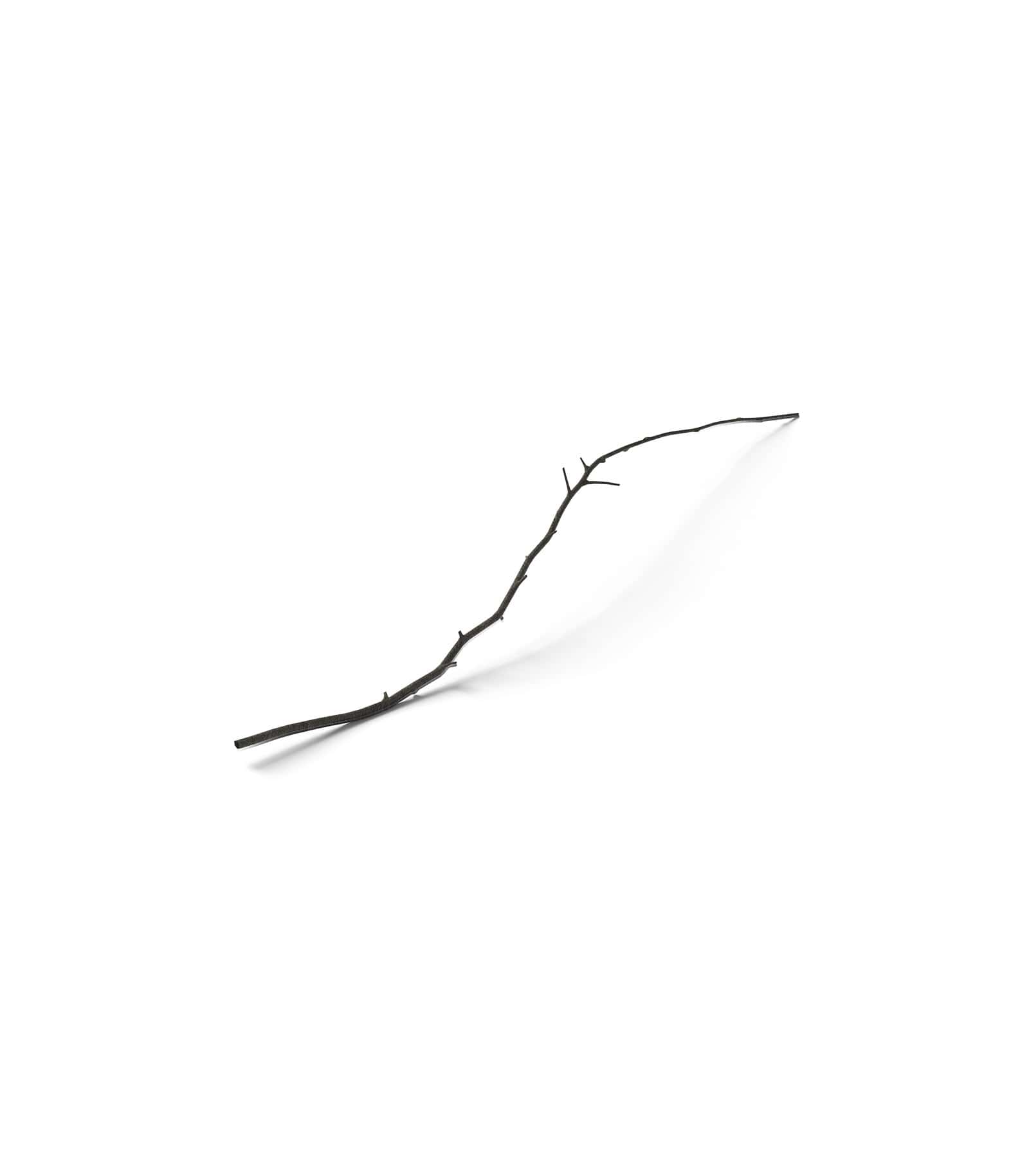 Mockup withered branch isometric v1 Mockup Withered Branch Isometric V1
