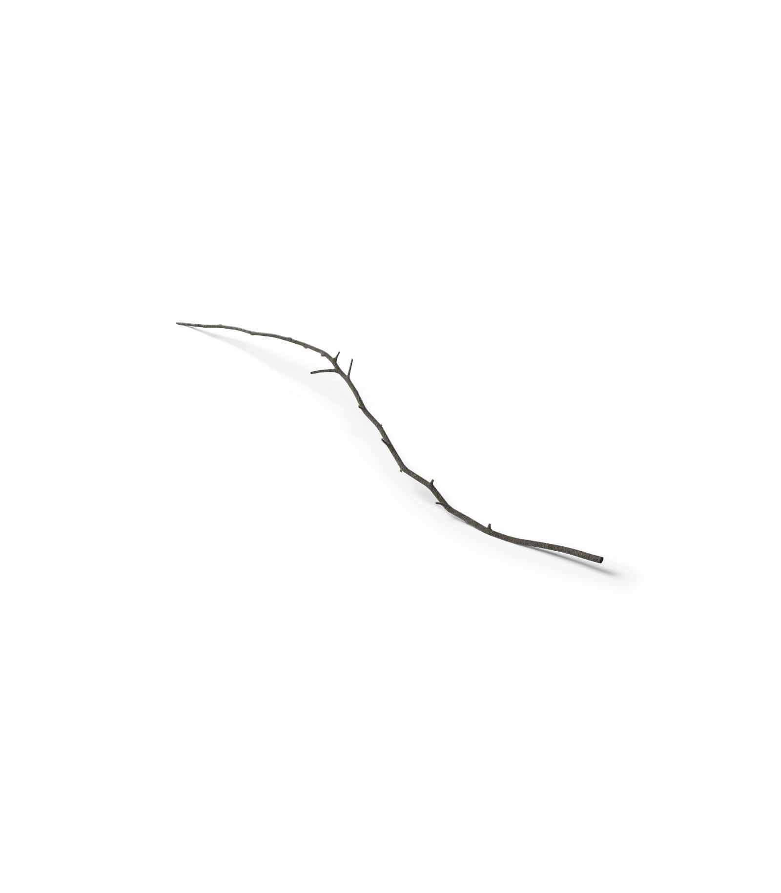 Mockup withered branch isometric v2 Mockup Withered Branch Isometric V2